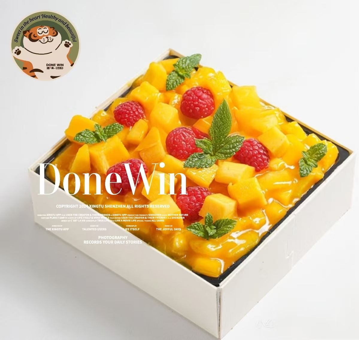 Tiramisu Mango Gift Box(pre-order)_0