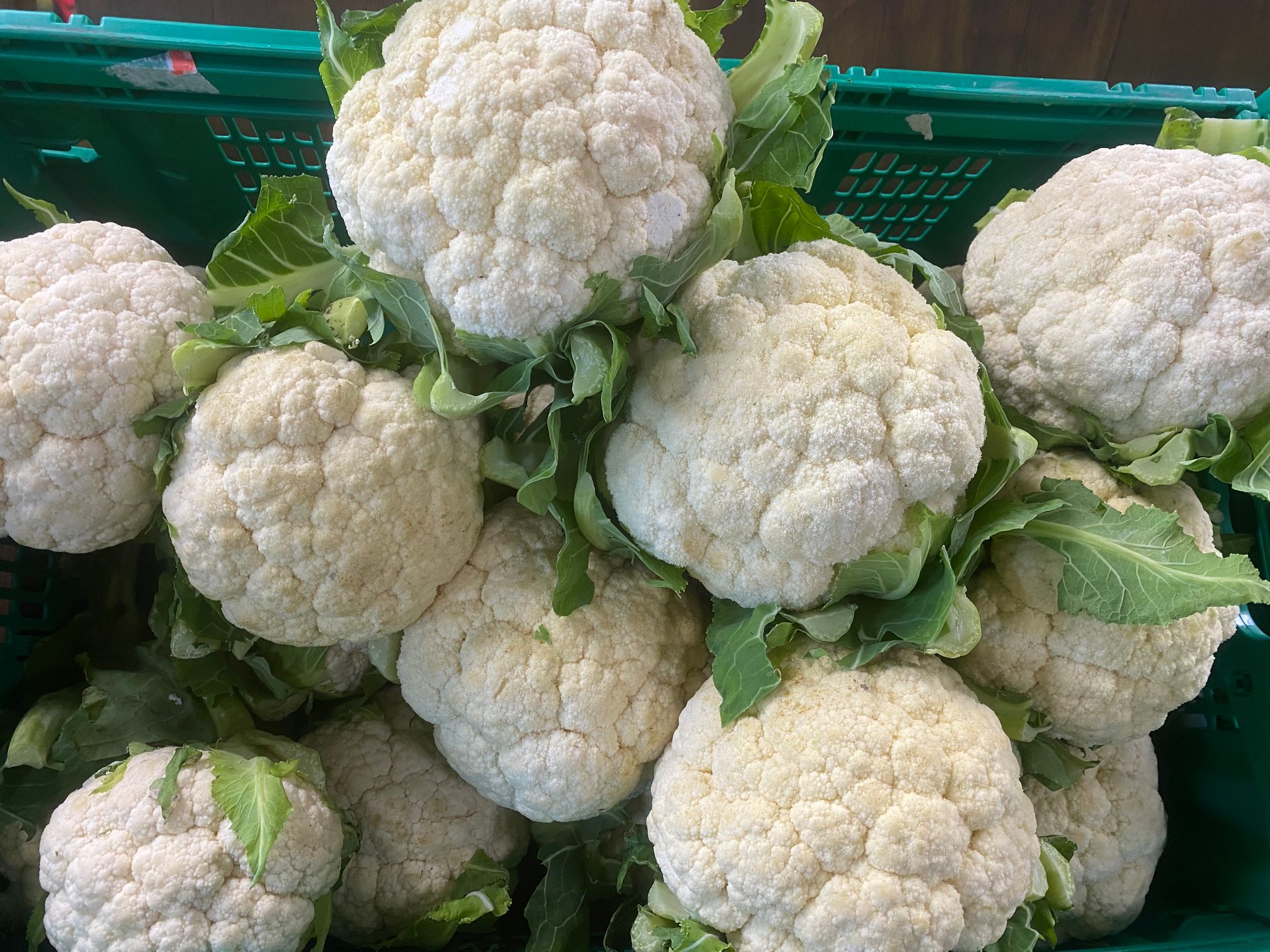 Cauliflower _0