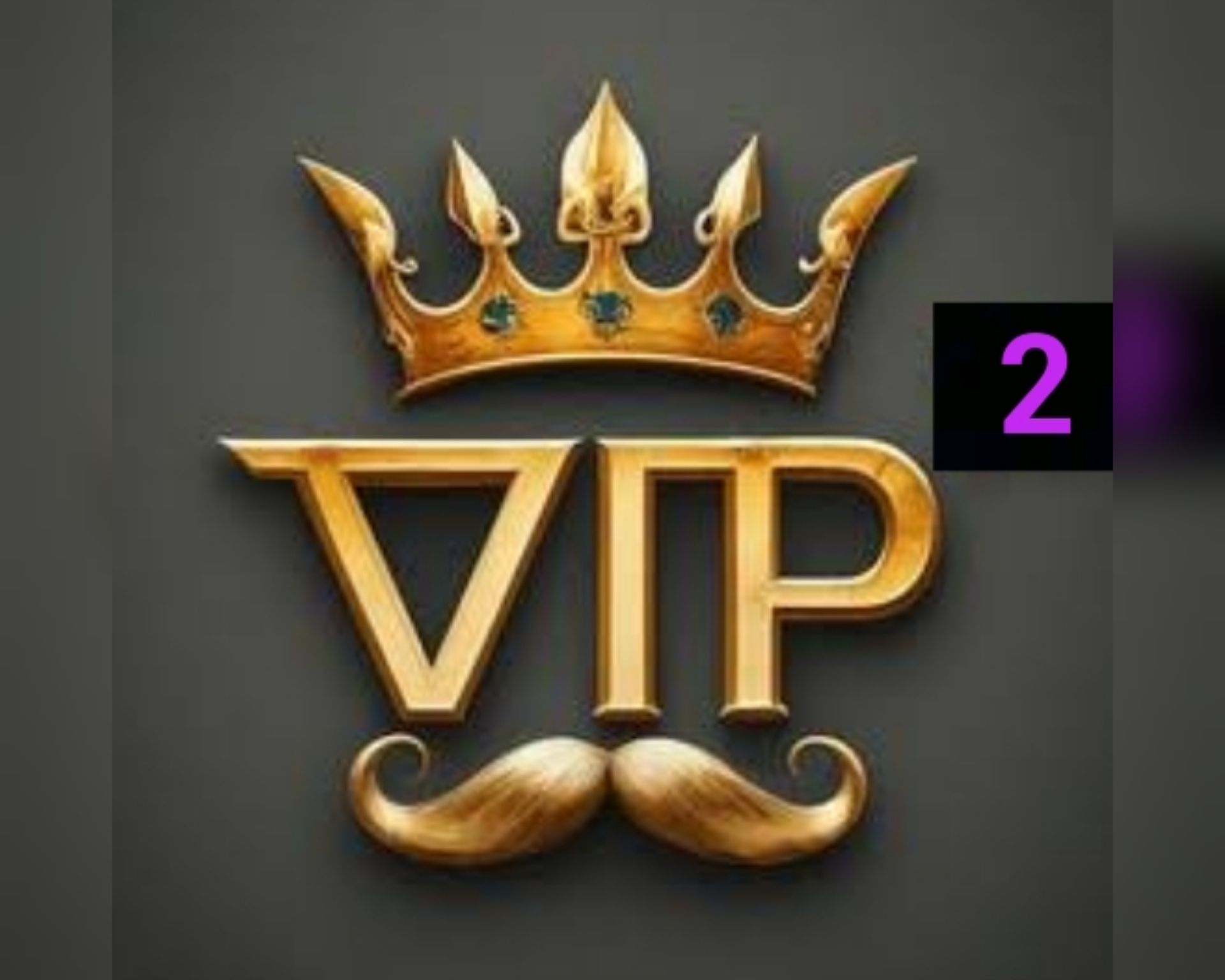 #2)US/$5  VIP Level (2) Ad's_0