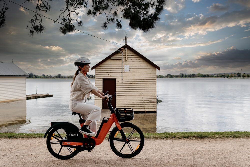 25km/h Delivery Ebike_0