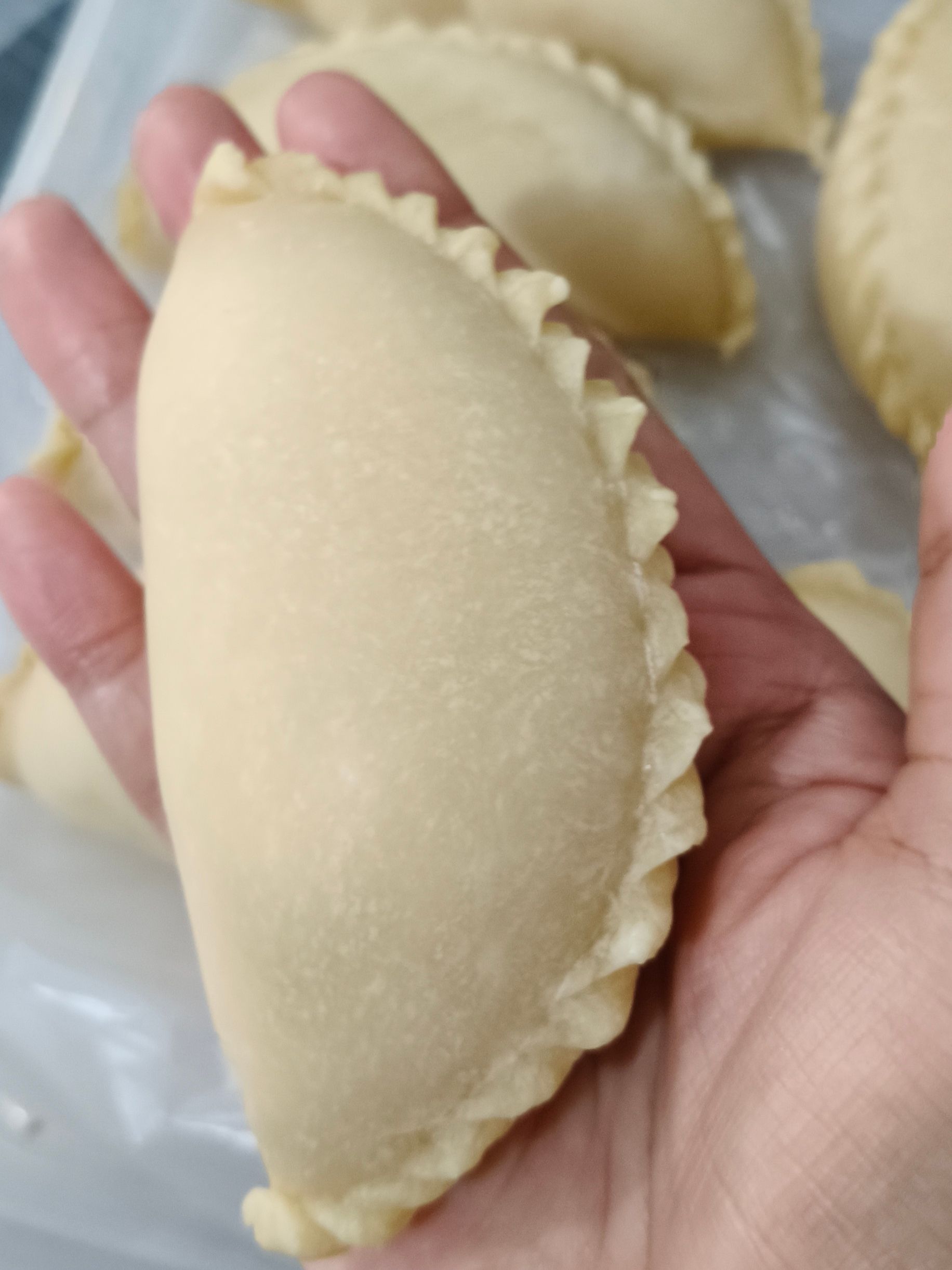 10pcs Epok Epok Sayur_1