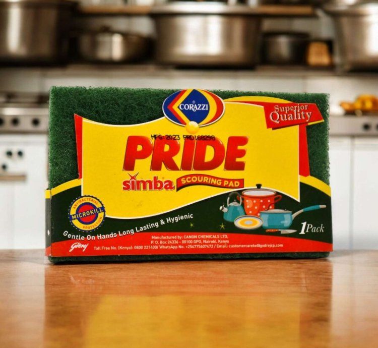 Pride Simba Scouring Pad Std 4pk 48x1_0