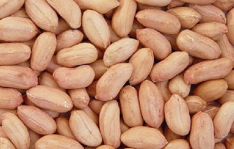 Peanut(with out cover) |கச்சான்_0