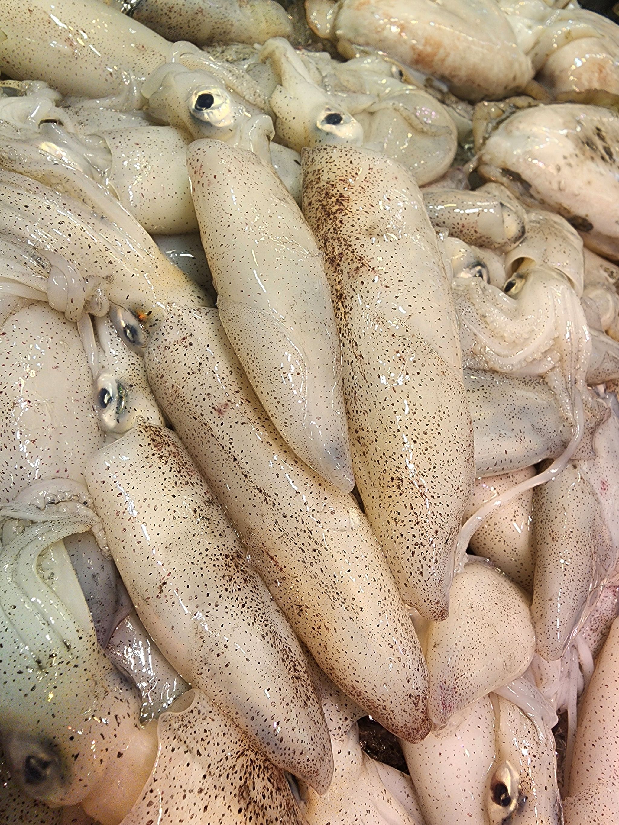 本地魷魚仔🦑（半斤）（需自行處理）（約7~8隻）_0