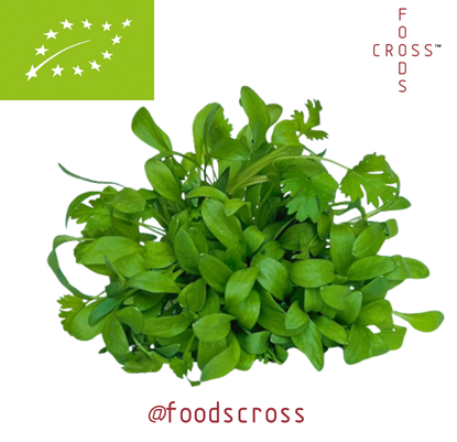 ΚΟΛΙΑΝΔΡΟΣ (Coriander) BIO 25γρ_2