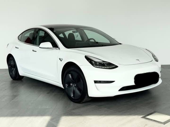 TESLA MODEL 3 Standard RWD /2019_1