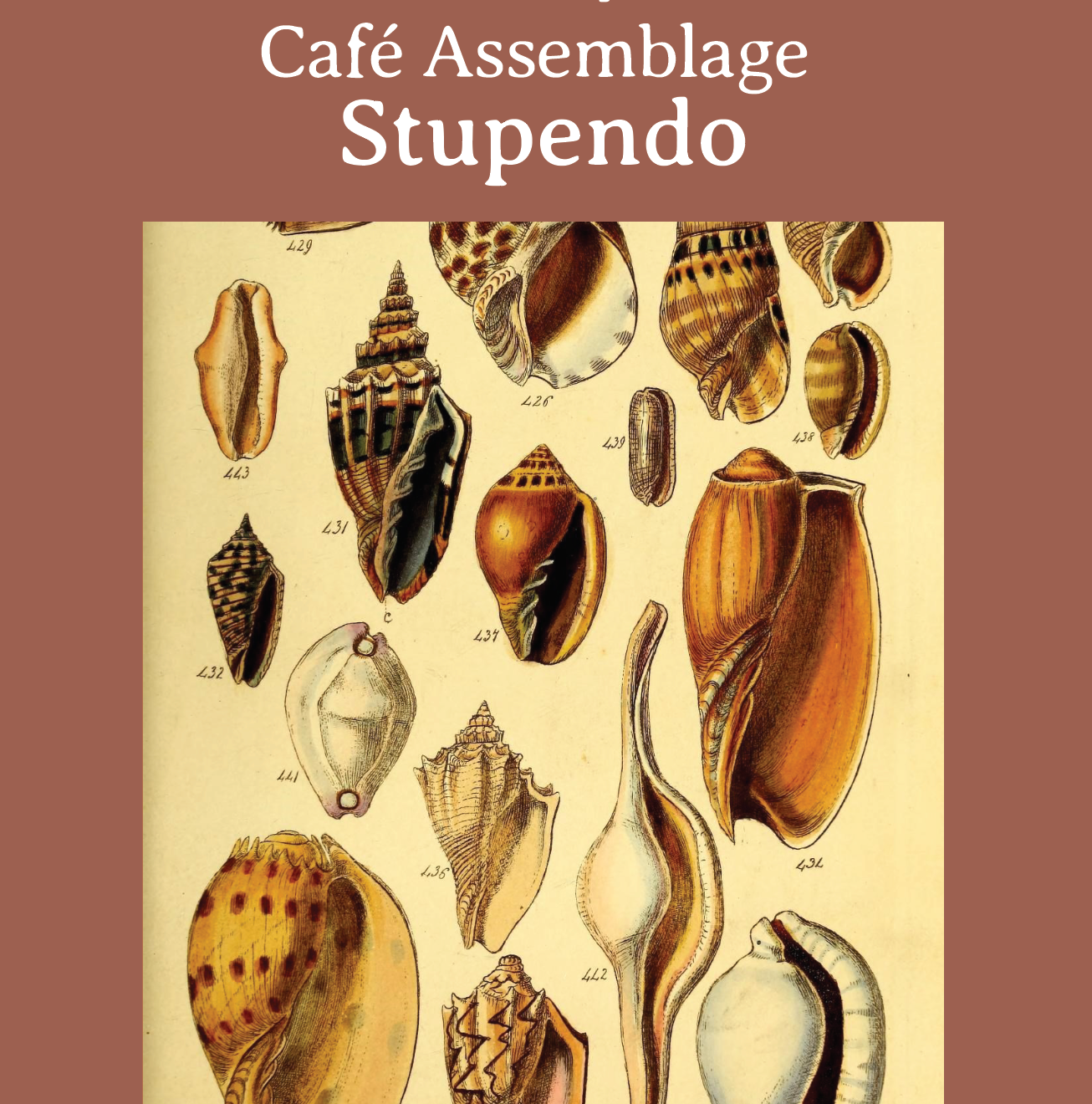 BLEND-STUPENDO - ESPRESSO_1