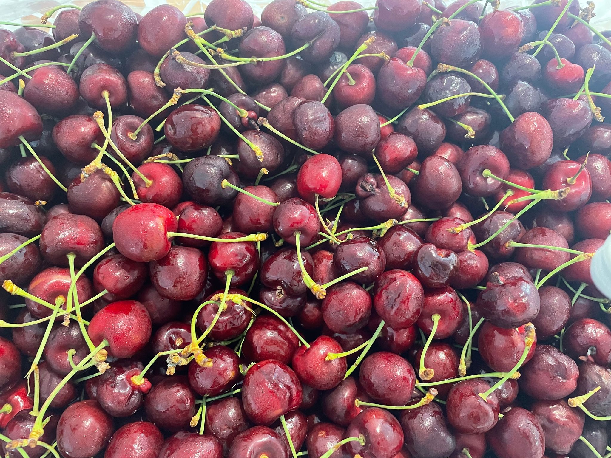 체리 🍒 1kg_0