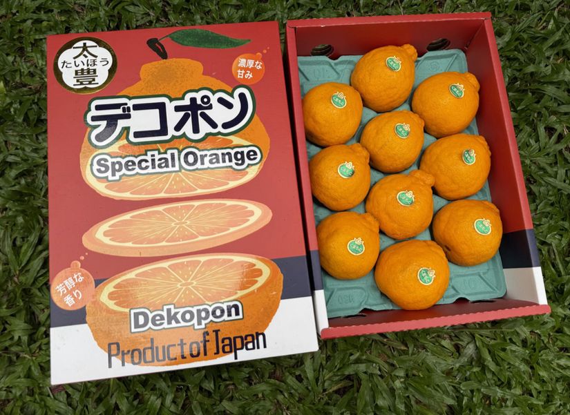JPN TAIHYO DEKOPON日本太寷尖头柑_1