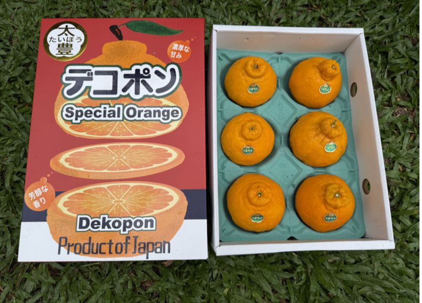 JPN TAIHYO DEKOPON日本太寷尖头柑_0