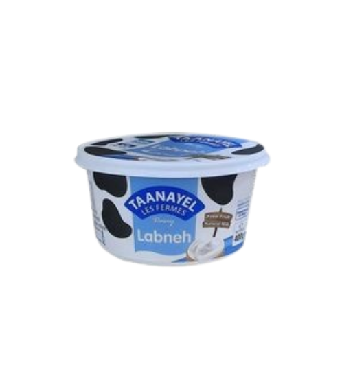 TAANAYEL LABNEH BALADIYE _1