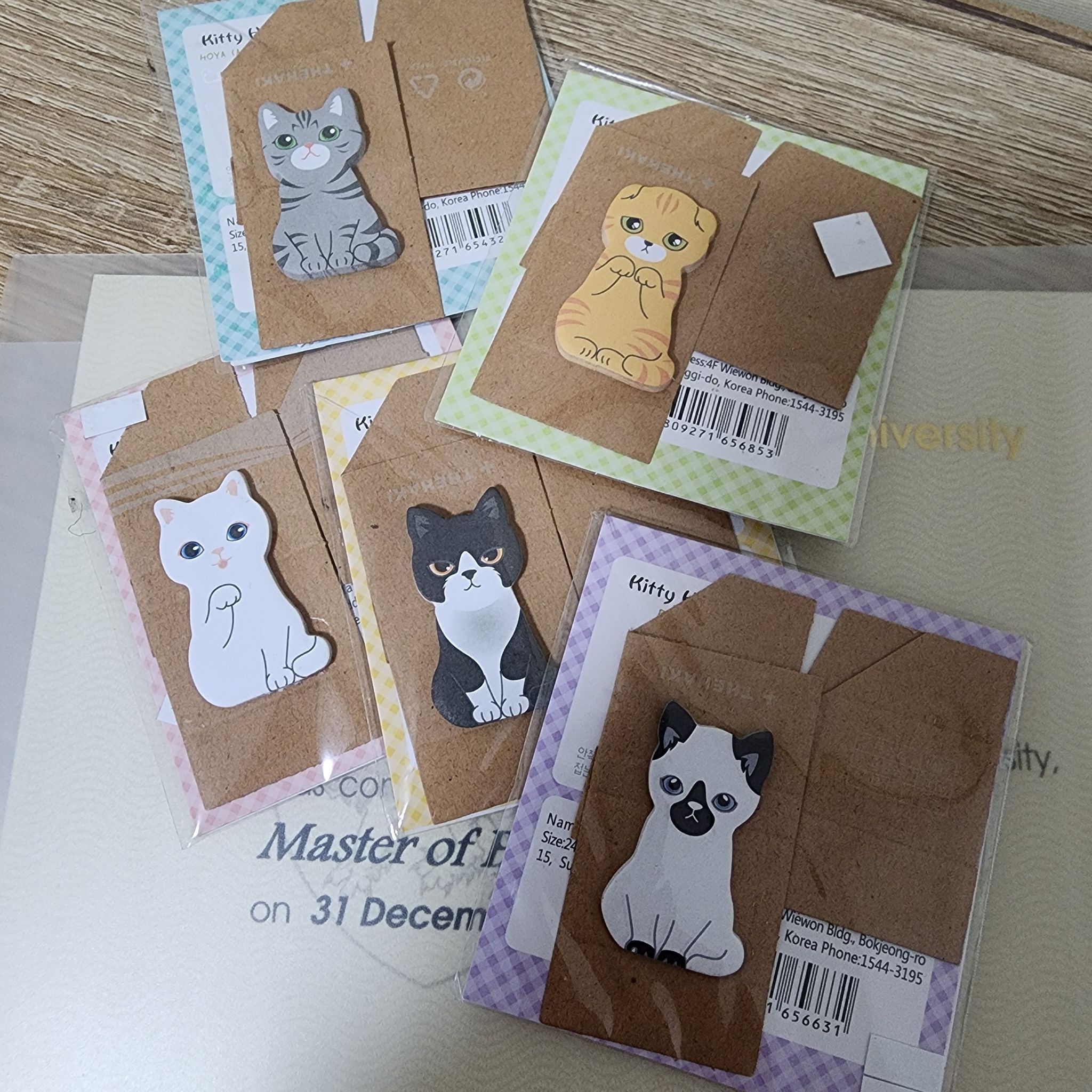 $2 | Kitty MemoPad (Set of 5)_0