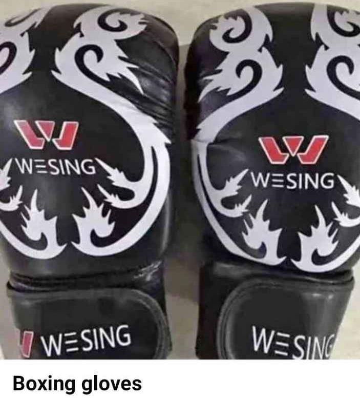 Boxing gloves _1