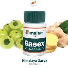 Gasex For Digestive 100pc_0