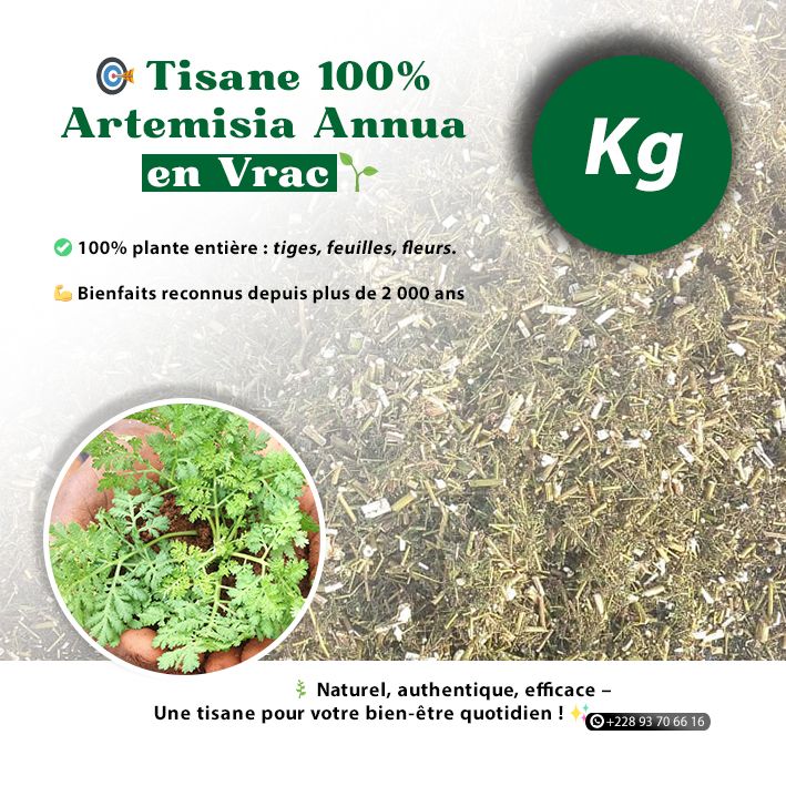 🎯 Tisane 100% Artemisia Annua en Vrac _1