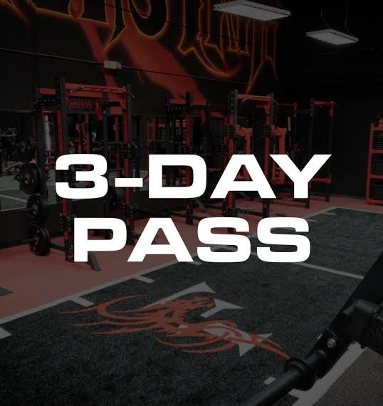 3 Day Pass _0