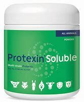 PROTEXIN SOLUBLE (2 *108 cfu/g) 250g_0