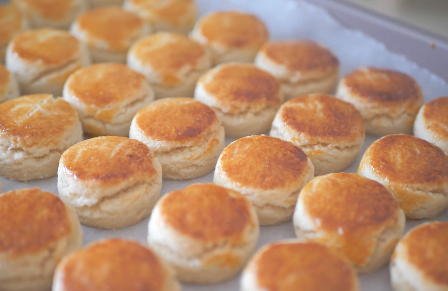 almond 杏仁饼干 /green pea 青豆饼干 cookies_1