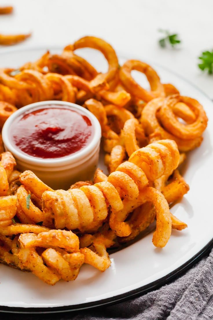 Frozen Curly Fries in the Air Fryer_0