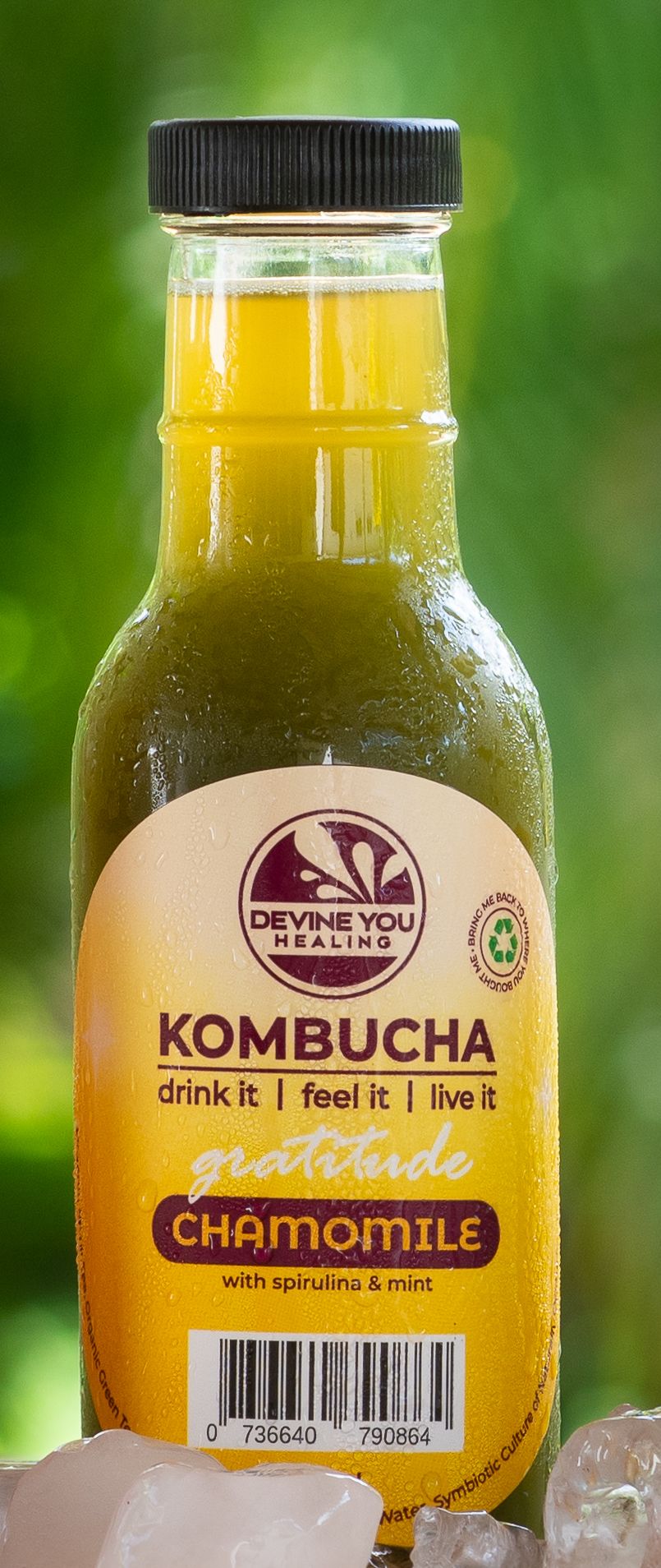 Kombucha: Chamomile with spirulina & mint  _0