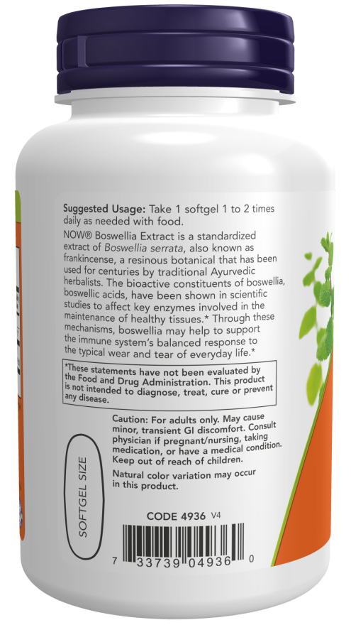 Boswellia Extract 500 mg_2