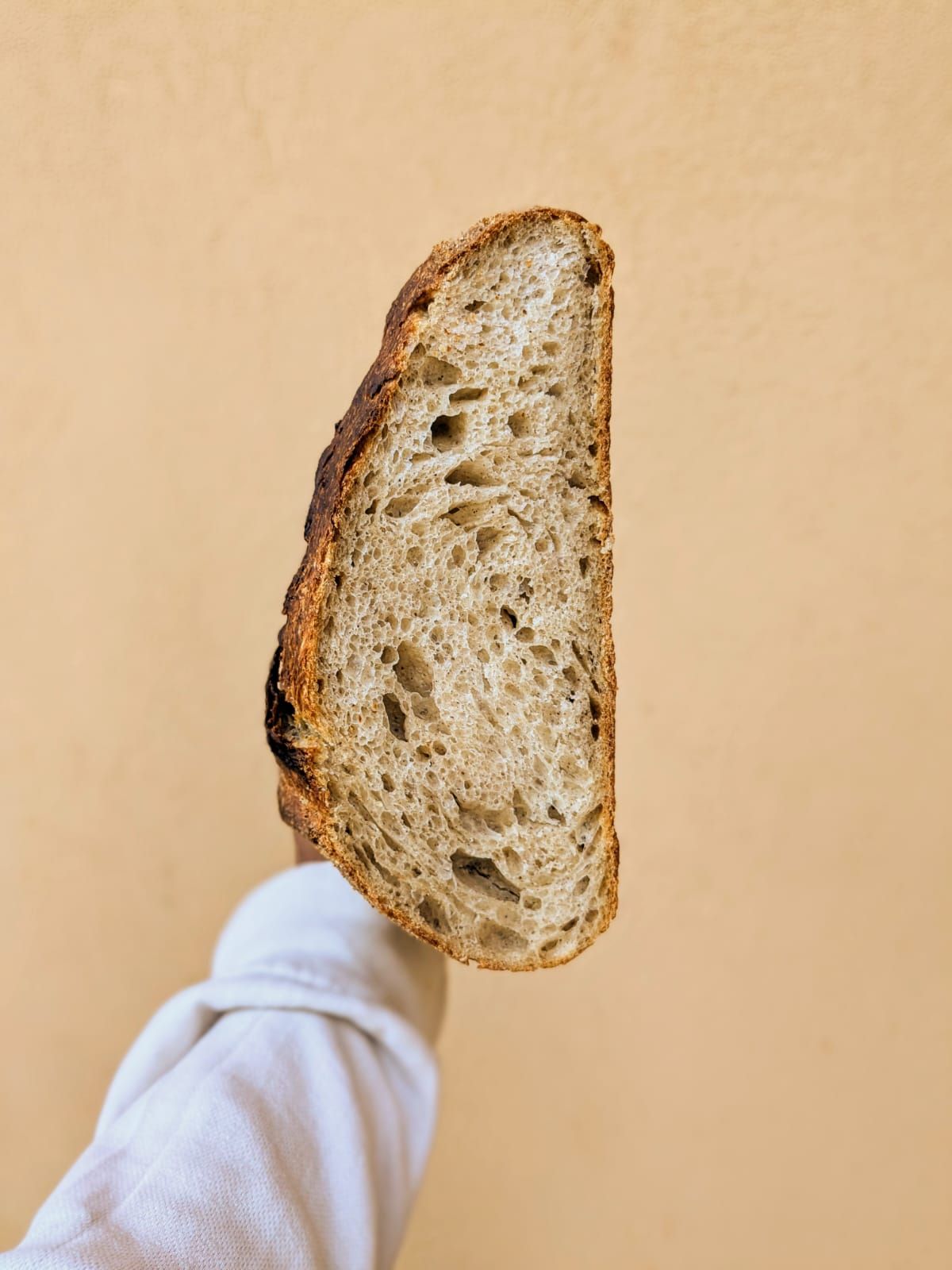 Olive Oil Rustic Sourdough_0