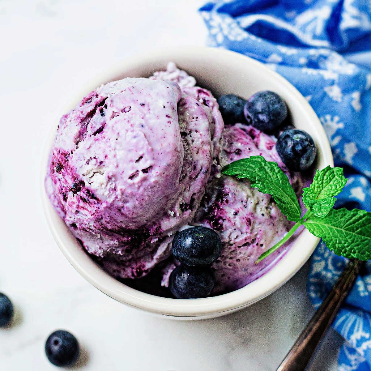 Ice cream Blueberry_0