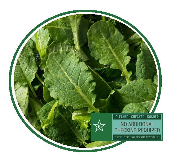 Baby Kale _1