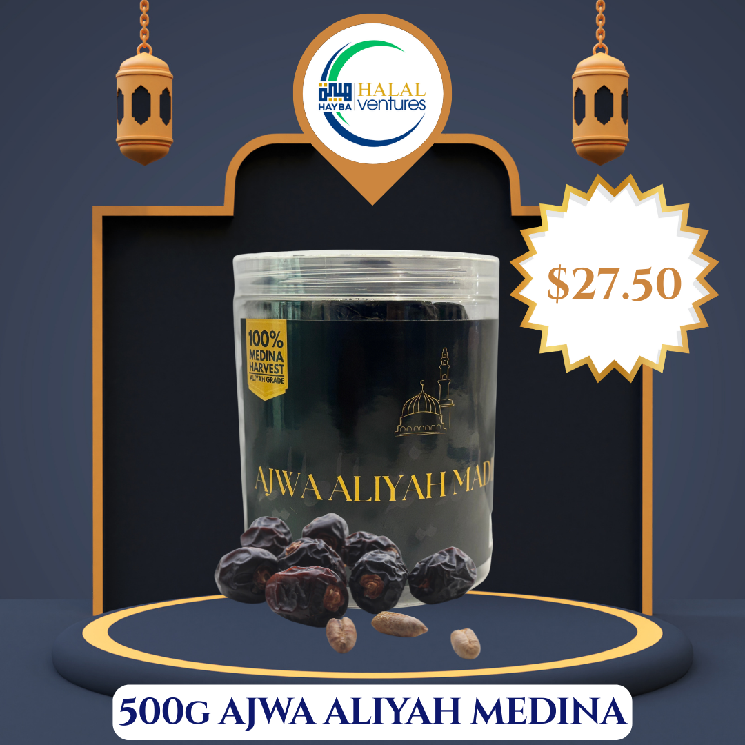 Ajwa Aliyah Madinah Dates (500g)_0