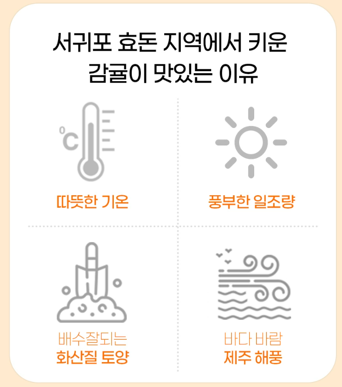 🍵코삿(COSAT Inc.)_귤피차_2