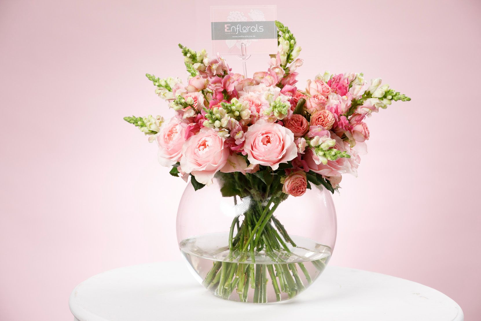 Pink Whisper blooms_0