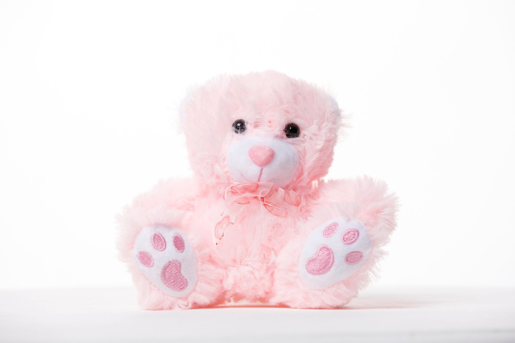 Blushy Bear_0