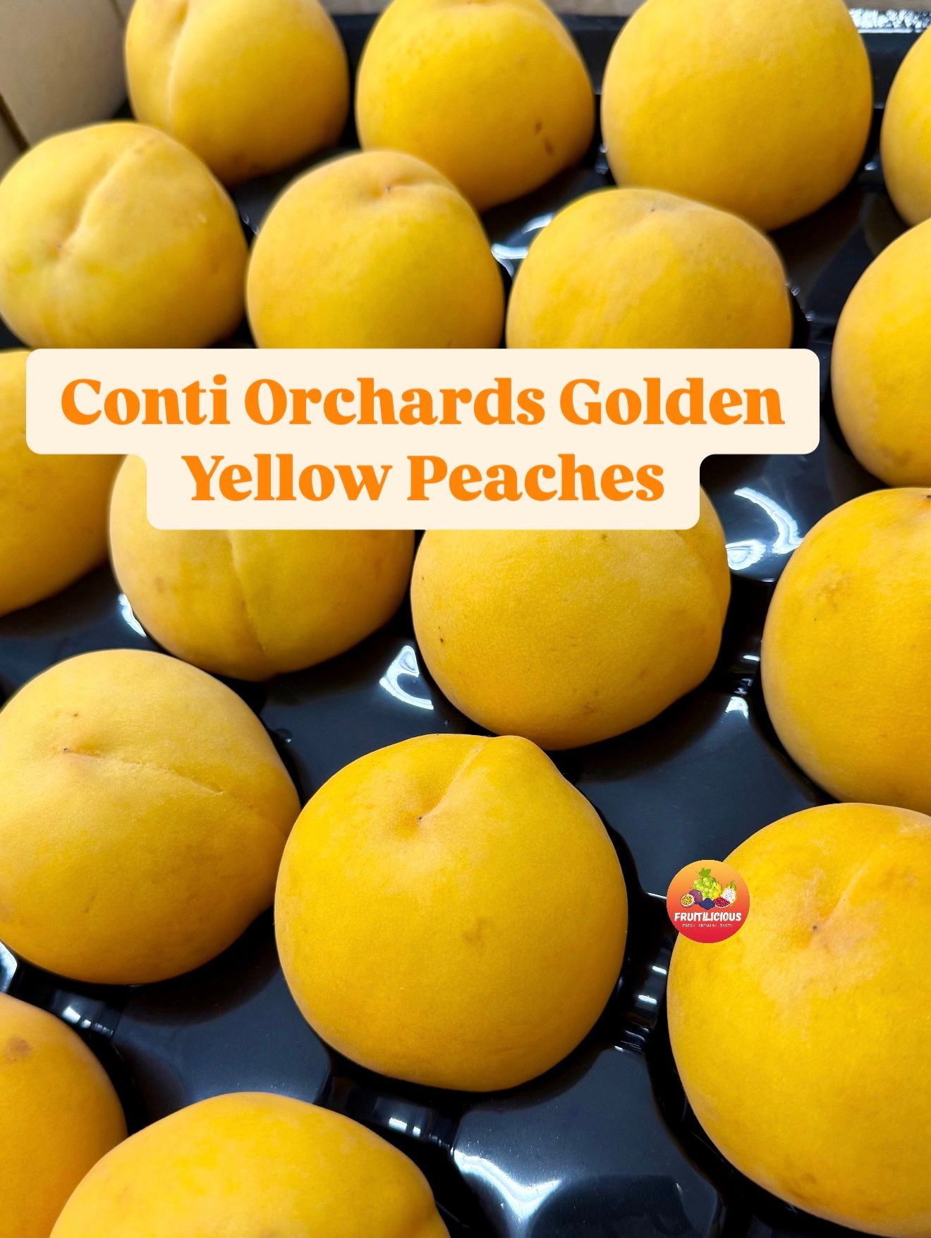 CONTI ORCHARDS GOLDEN YELLOW PEACHES_0