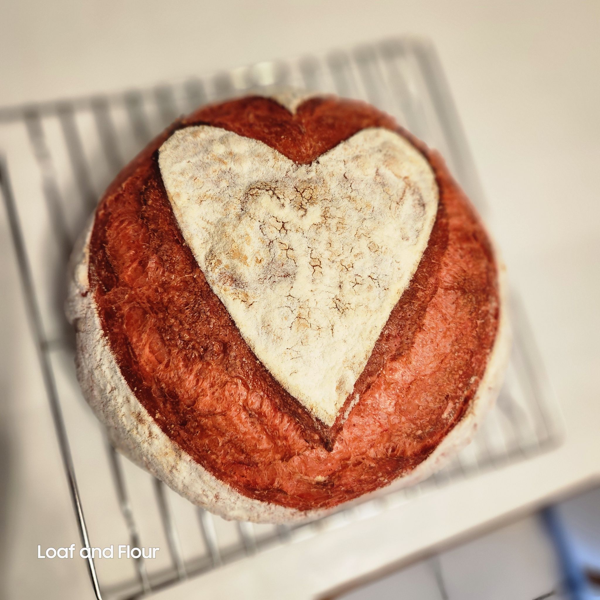 Sourdough Loaf_0