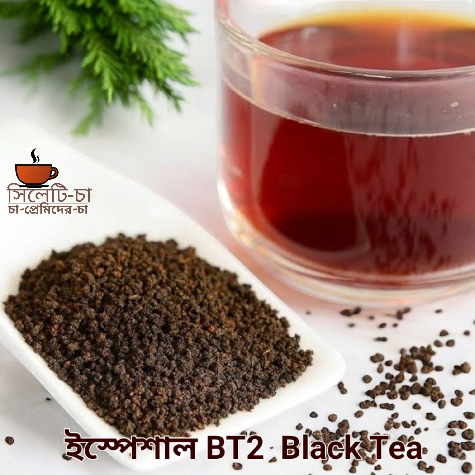 শ্রীমঙ্গল ইস্পেশাল BT2 চা _0