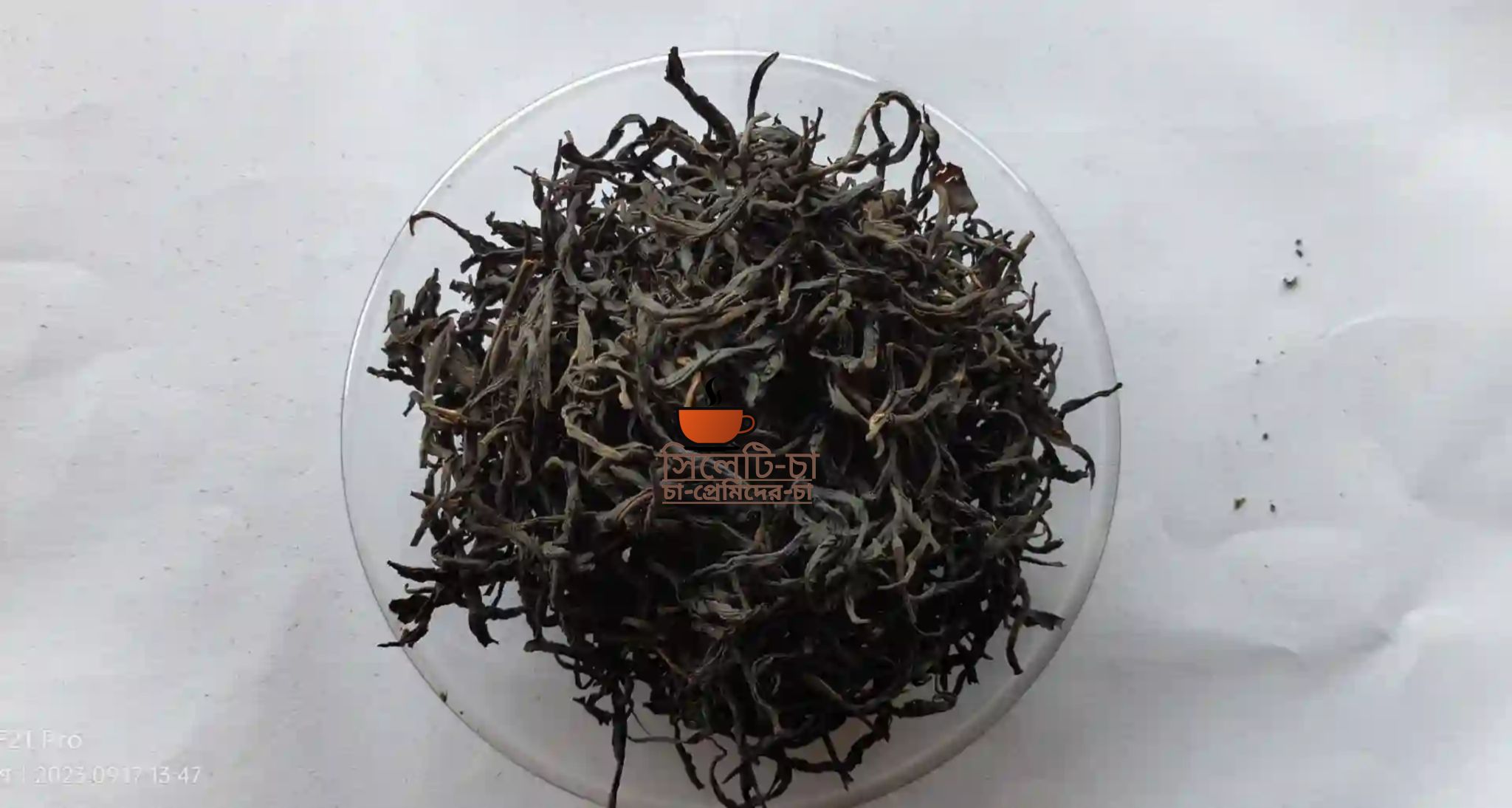 ন্যাচারাল হ্যান্ড-মেইড আস্তা পাতা গ্রিন টি_1