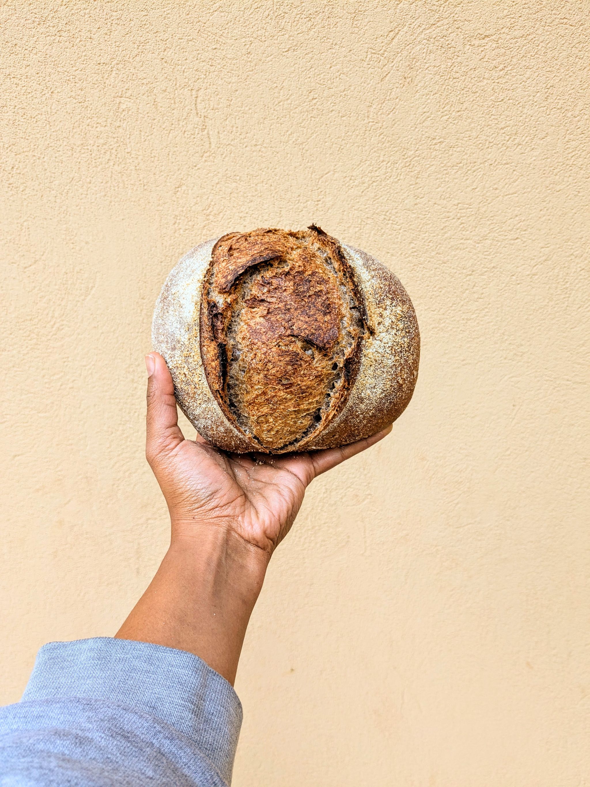 Small Red Sorghum Sourdough_0