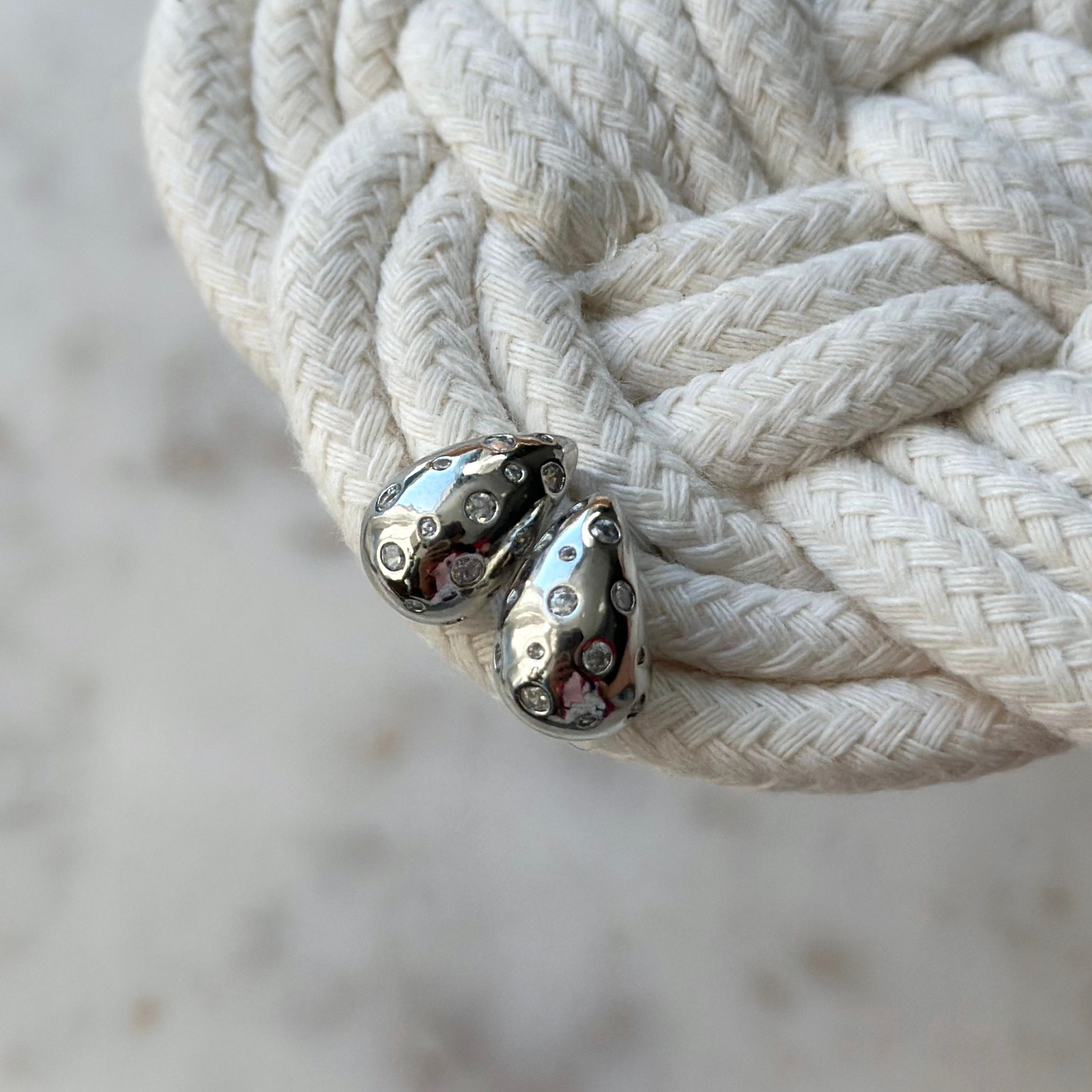 Shiny Silver Drop Earring_1