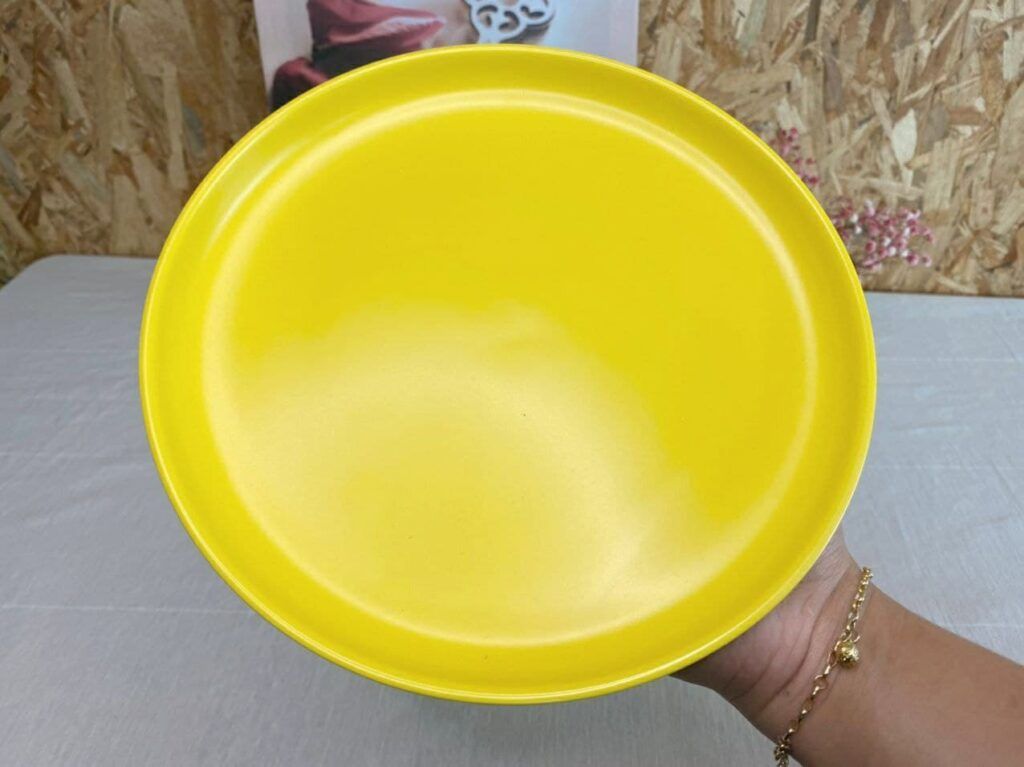 [BUY 1 FREE 1] CERAMIC TABLEWARE CR21_10