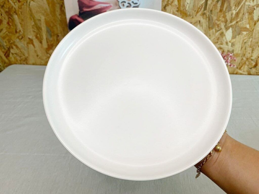 [BUY 1 FREE 1] CERAMIC TABLEWARE CR21_9