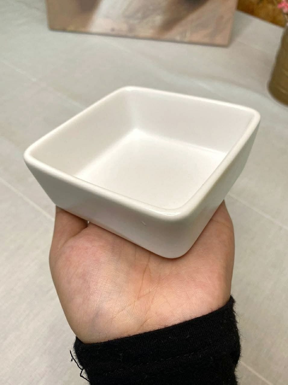 [BUY 1 FREE 1] CERAMIC TABLEWARE CR08_9