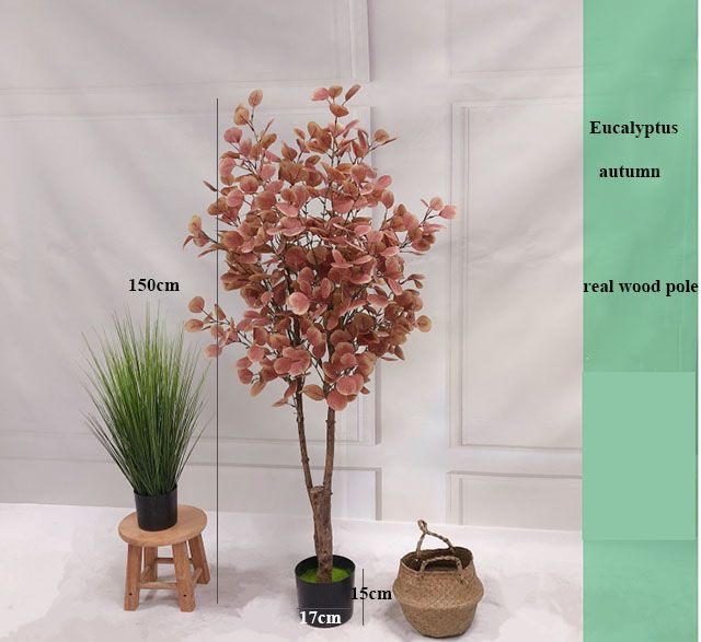 PREMIUM TREE EUCALYPTUS PINK_4