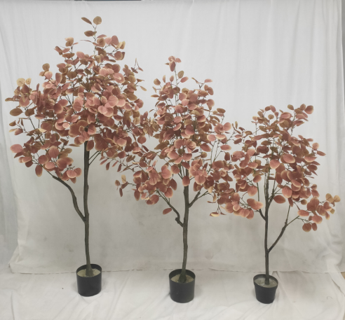 PREMIUM TREE EUCALYPTUS PINK_6