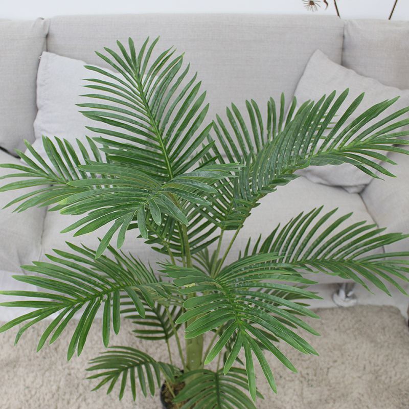 PREMIUM TREE PALM_4
