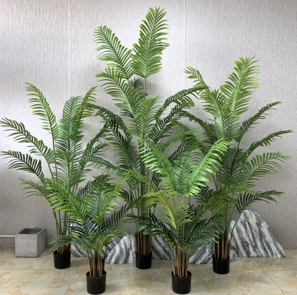 PREMIUM TREE PALM_1