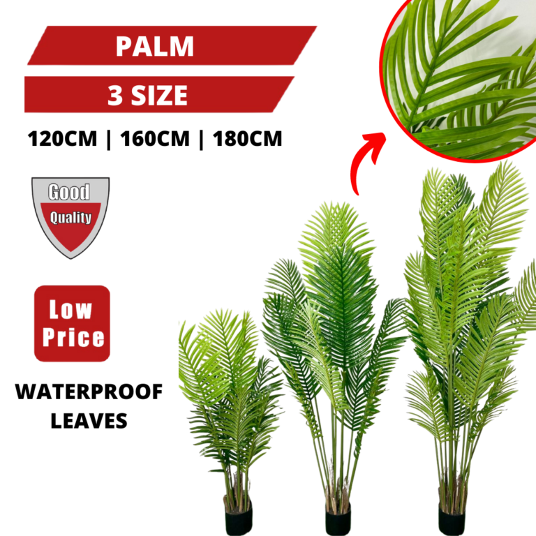 PREMIUM TREE PALM_0