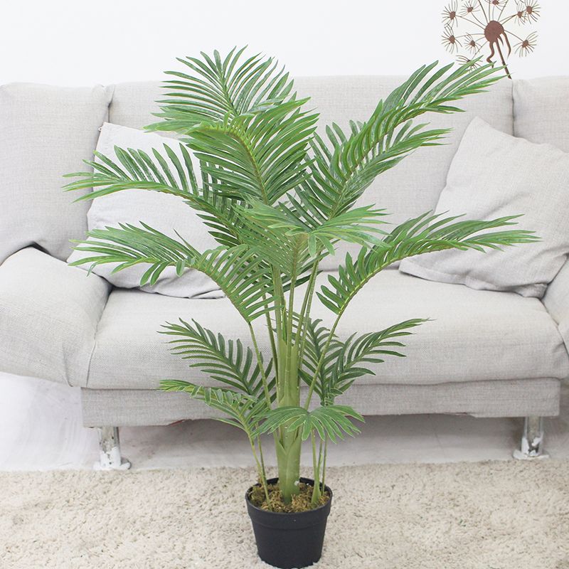 PREMIUM TREE PALM_6