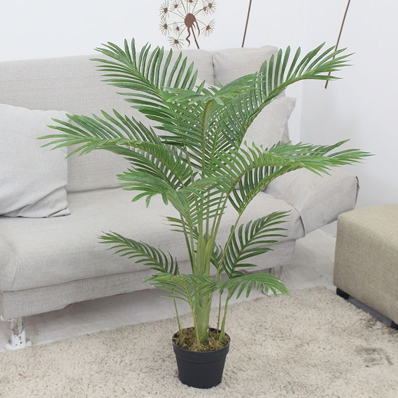 PREMIUM TREE PALM_8