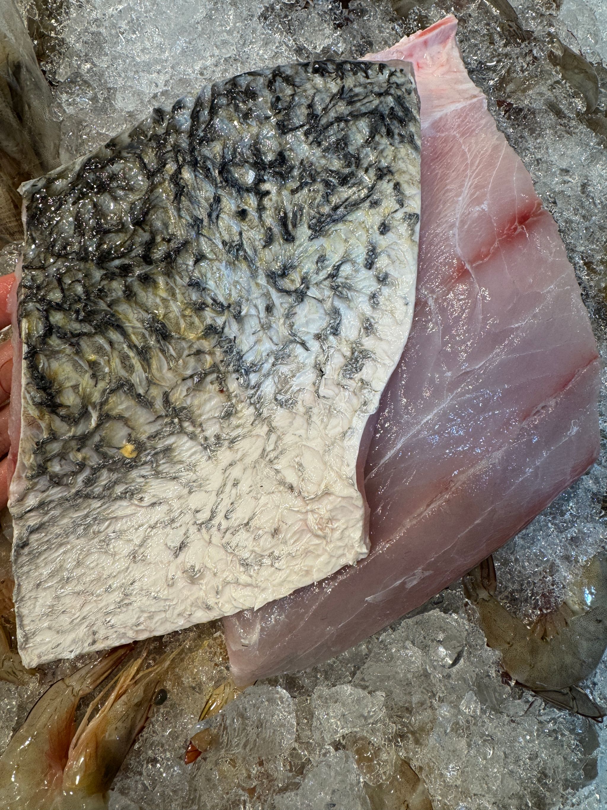 Barramundi (Seabass)_0