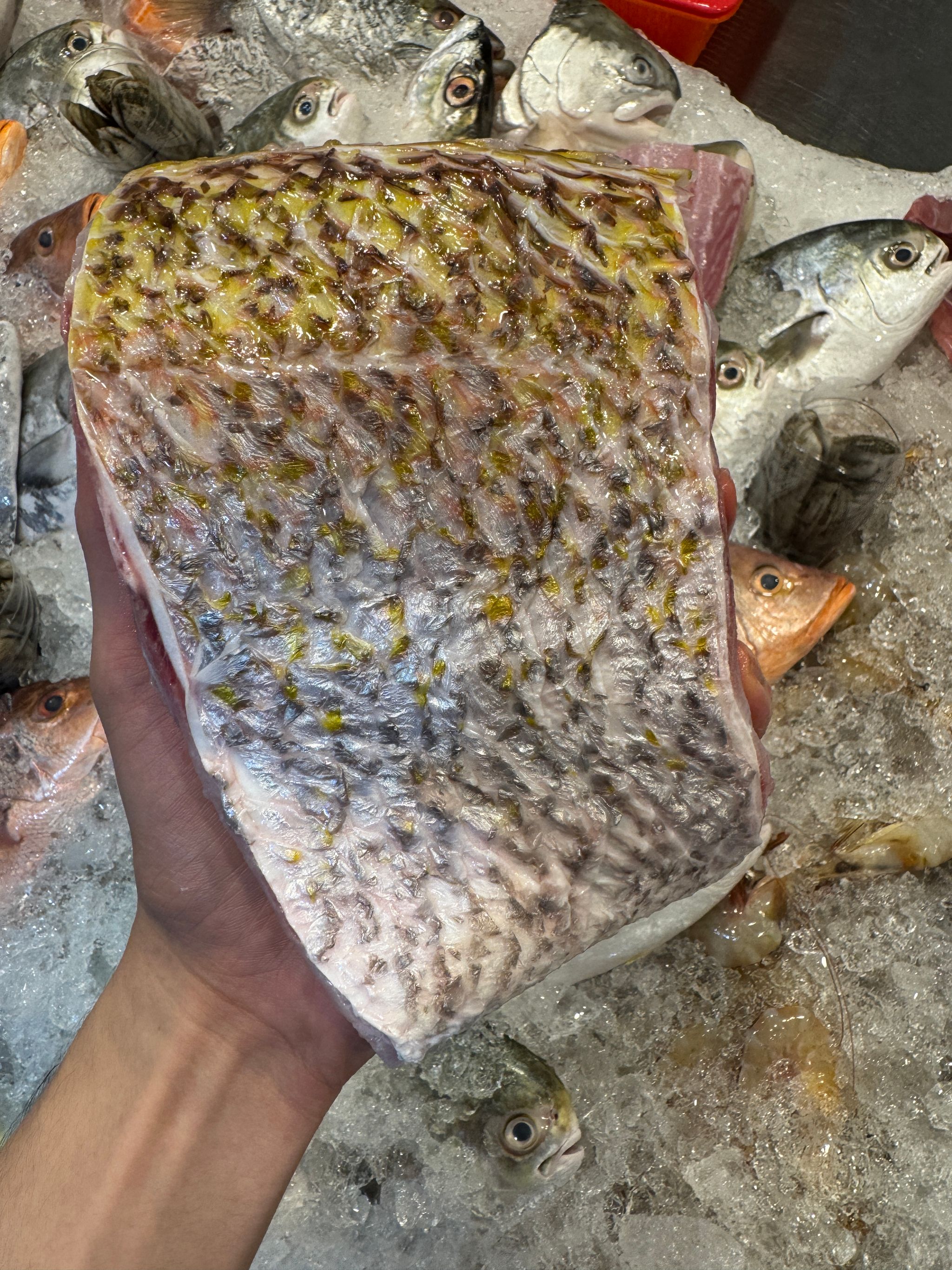 White Snapper (Ang Ko Li) _1